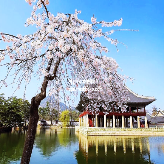 경기도 근교 가볼만한곳 베스트10