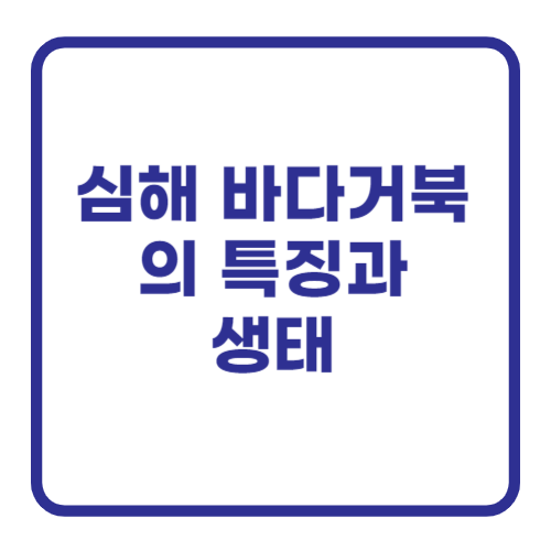 심해 바다거북의 특징과 생태