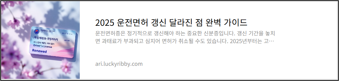2025 운전면허 갱신 달라진 점 완벽 가이드
