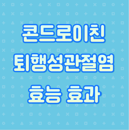 콘드로이친 효능 효과