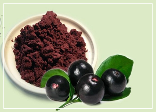 아사이베리 분말 활용법