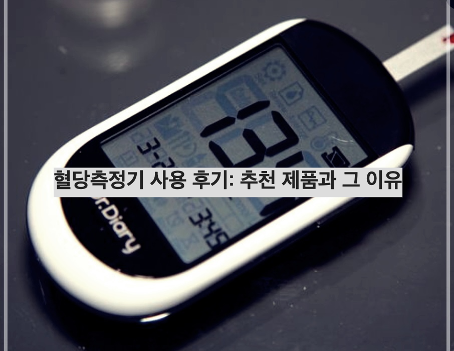 혈당측정기 사용 후기: 추천 제품과 그 이유