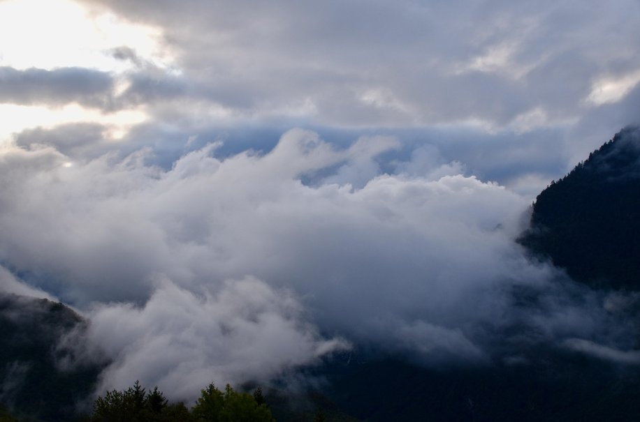 습담증(濕痰症)에 대한 모든 것