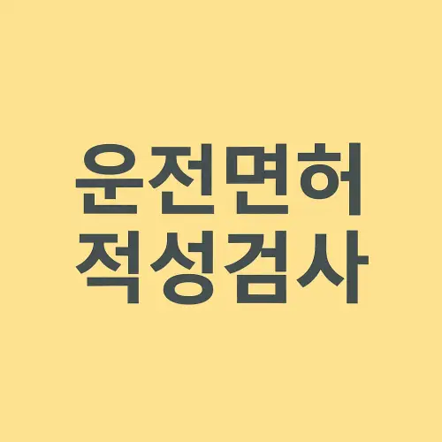 운전면허 적성검사
