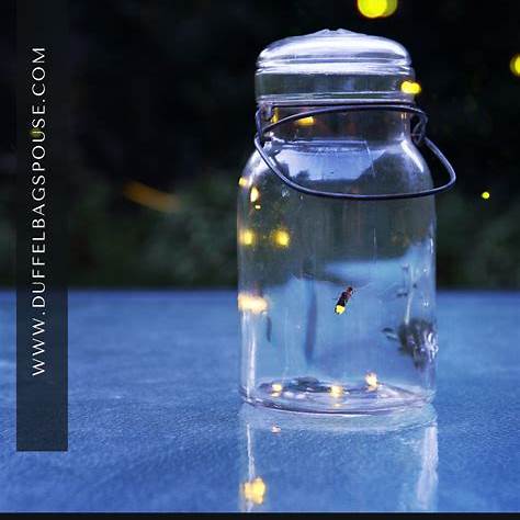 무주 반딧불이 축제 2025 – 자연 속에서 빛나는 감동 여행! 관련 사진