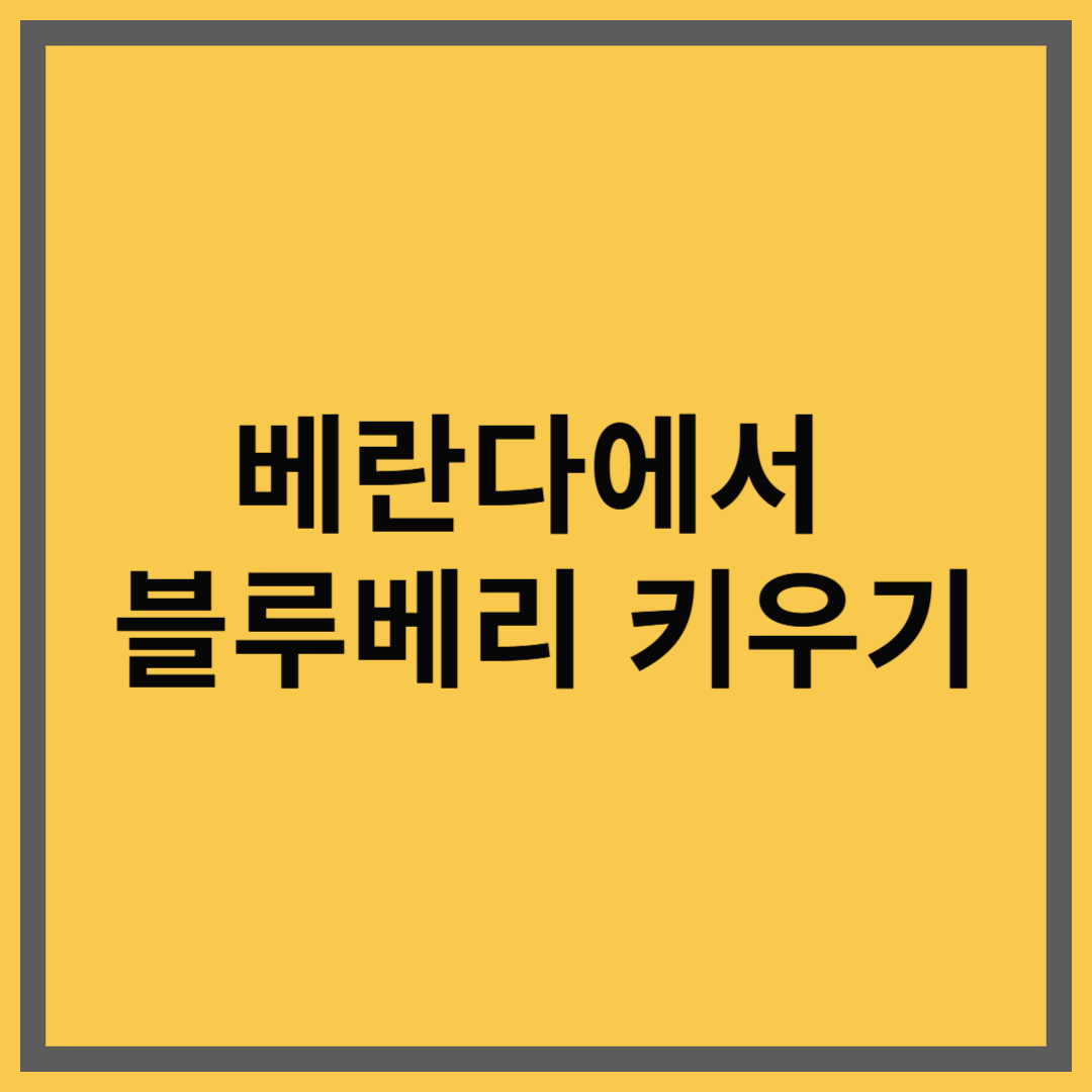 베란다에서 블루베리 키우기｜초보자도 성공하는 재배 가이드