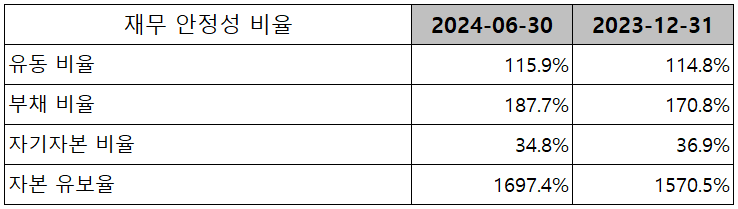 레이크머티리얼즈 - 재무 안정성 비율