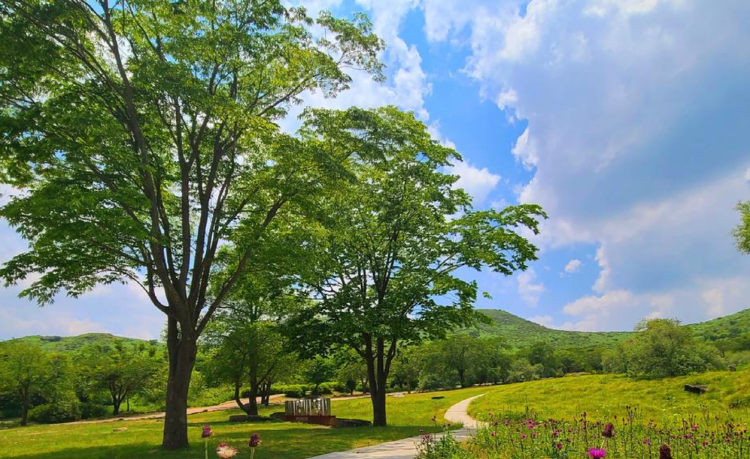 황매산 등산코스