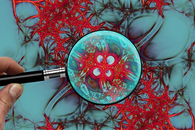 알츠하이머병의 증상&amp;#44; 진단&amp;#44; 예방 및 관리 방법