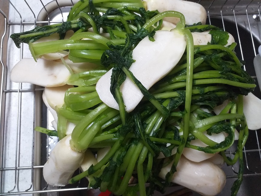 여름알타리김치