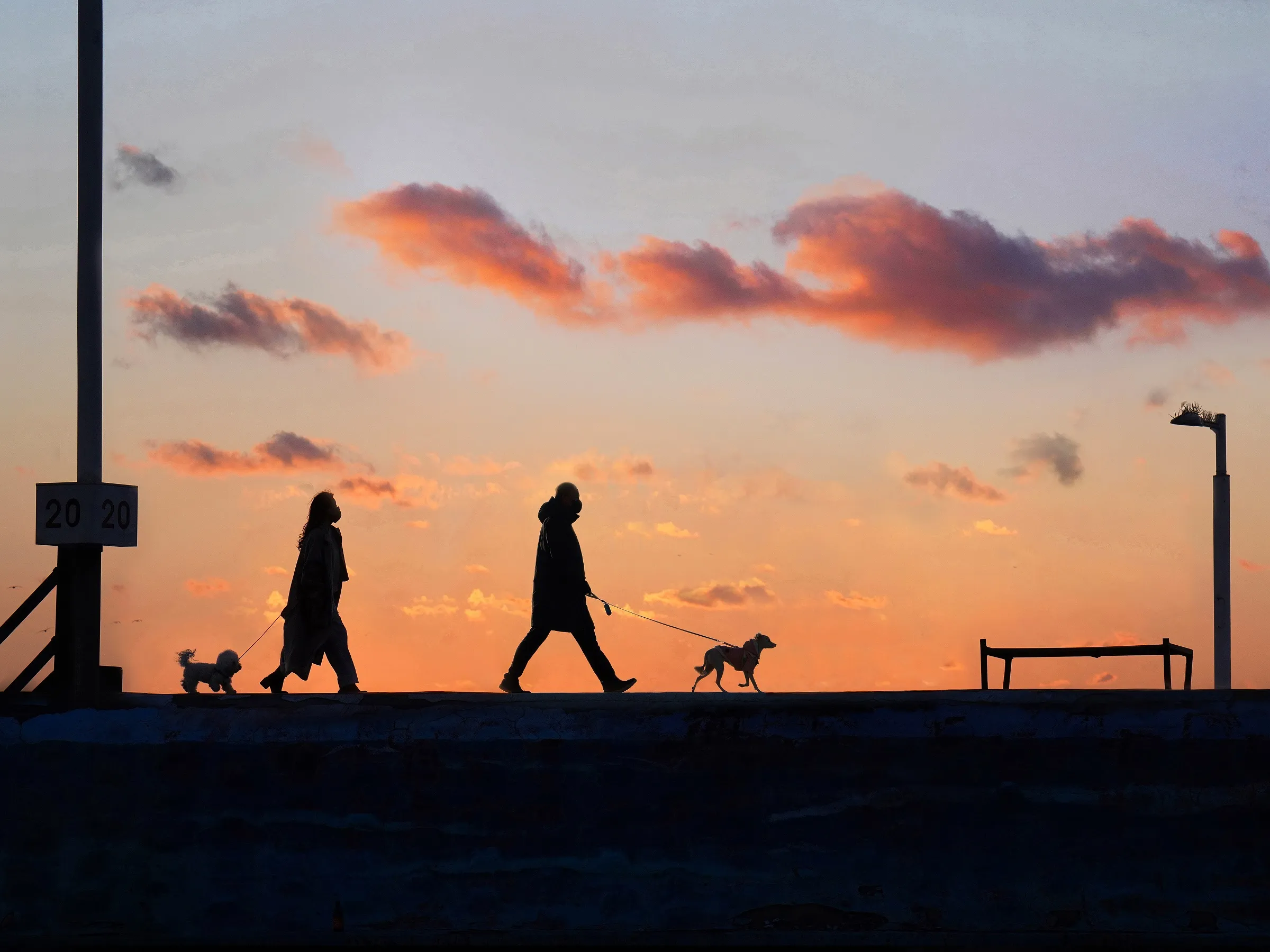 동물사랑 사진 공모전