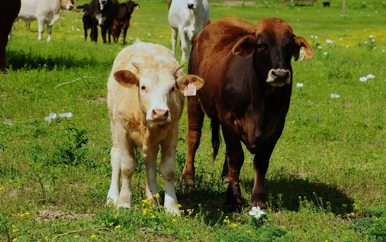 2025년 농업경영체등록확인서 발급, 어렵지 않아요
