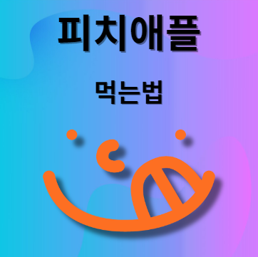 피치애플 먹는법