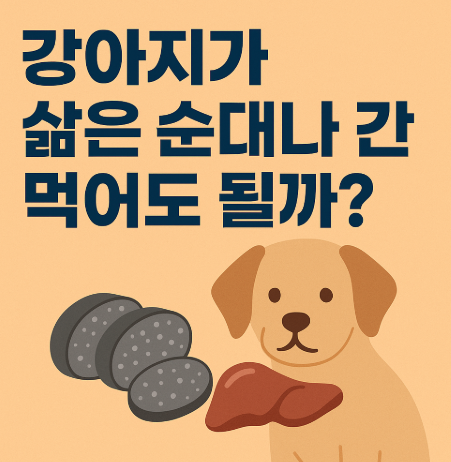 강아지가 삶은 순대나 간을 먹어도 될까? (배달 족발)