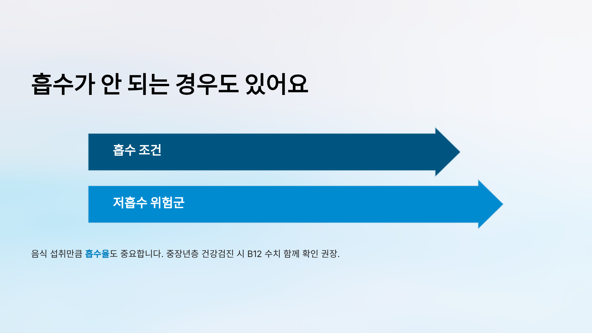 비타민 B12가 많은 음식