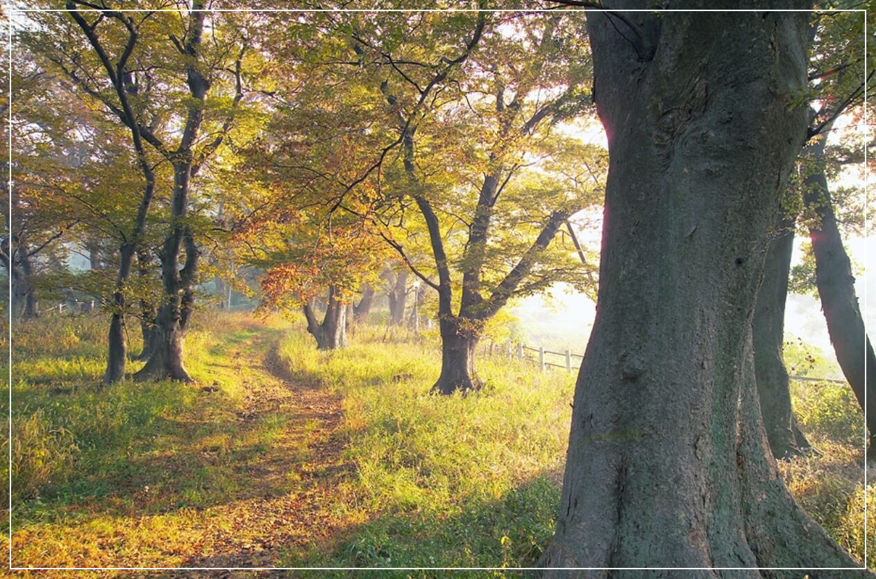 영광 가볼만한곳 베스트10 숲쟁이공원