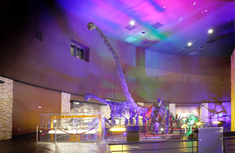 해남 공룡박물관