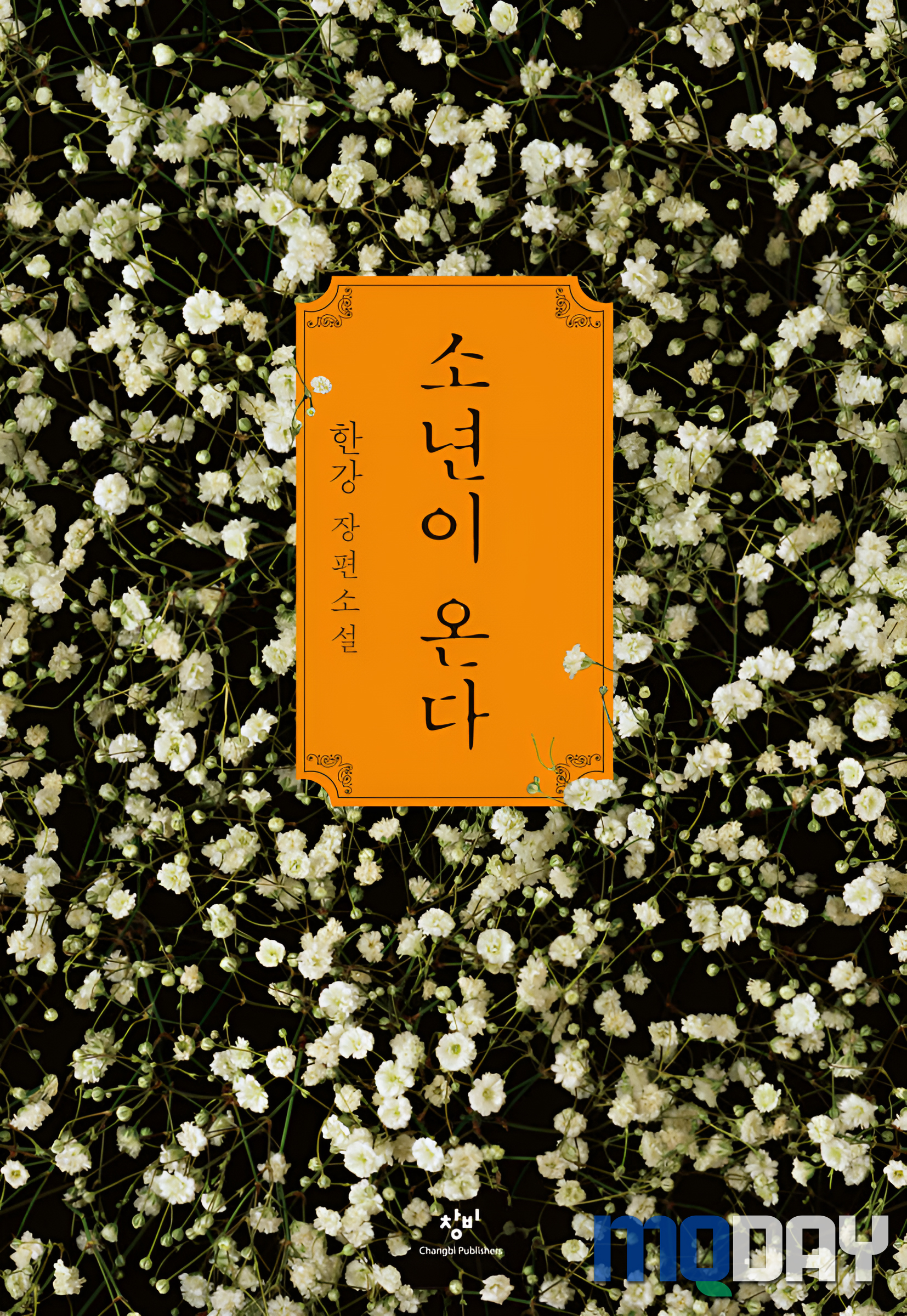 한강 작가 소설 소년이 온다