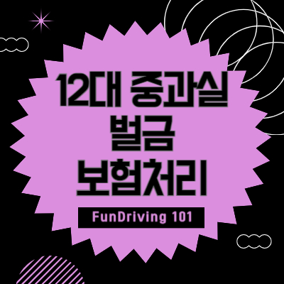 12대 중과실 벌금 보험처리