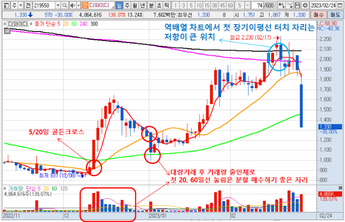 2월 24일 디와이디 일봉 차트