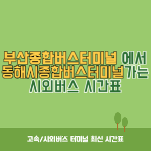 부산종합버스터미널에서 동해시종합버스터미널 가는 시외버스 시간표 최신정보