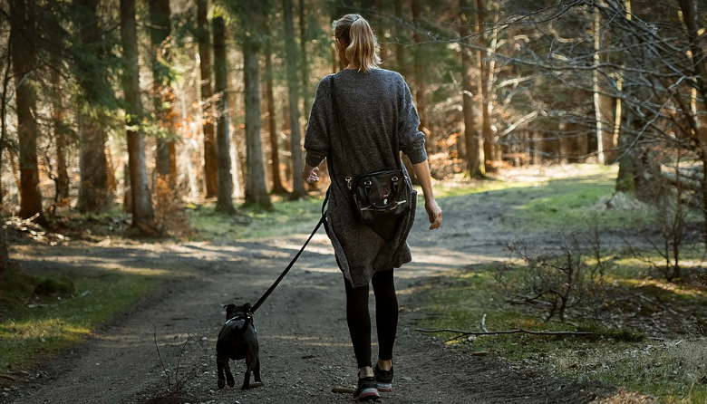 요즘뜨는 건강루틴 걷기관련사진