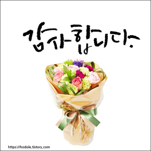 감사합니다-이미지