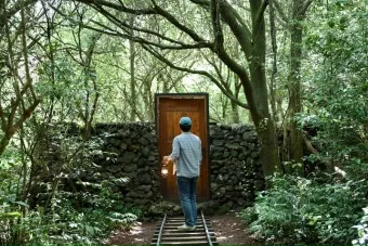 제주 곶자왈 숲길 산책 원시림 초록 힐링 여행_15