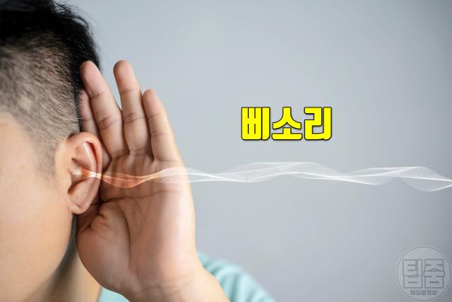 난청 증상 자가진단 윙윙소리 삐소리 이명