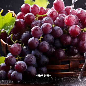 포도 부작용