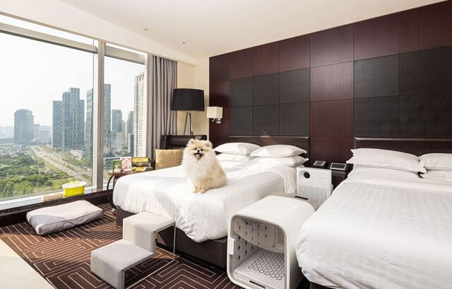 연말 호캉스 추천 호텔 BEST 10