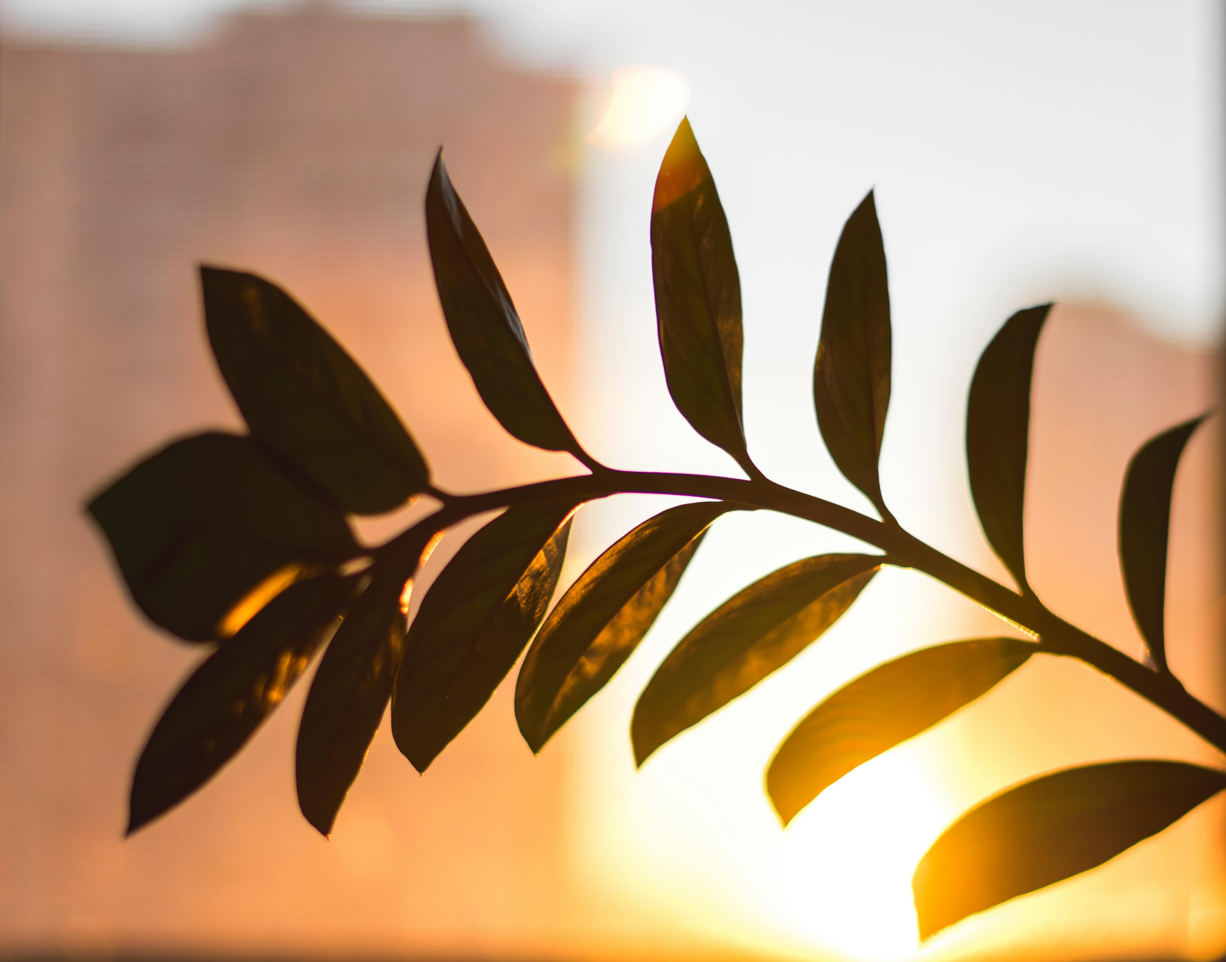 감정조절 능력 향상시키는 마음챙김 기법 