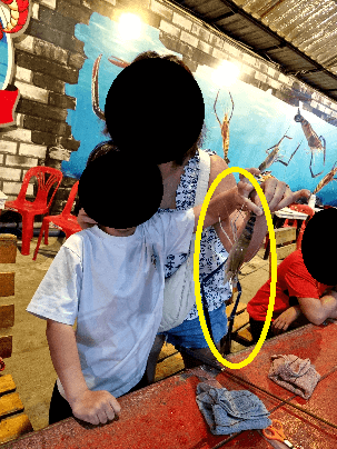 태국파타야쉼스하우스새우낚시터후기
