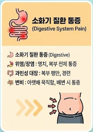 오른쪽 아랫배 통증