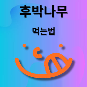 후박나무 먹는법