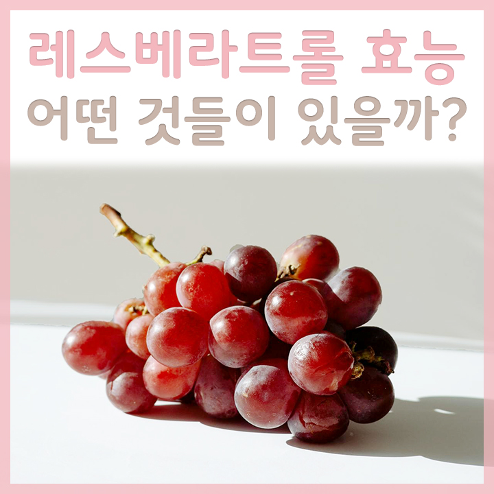 잘익은 포도