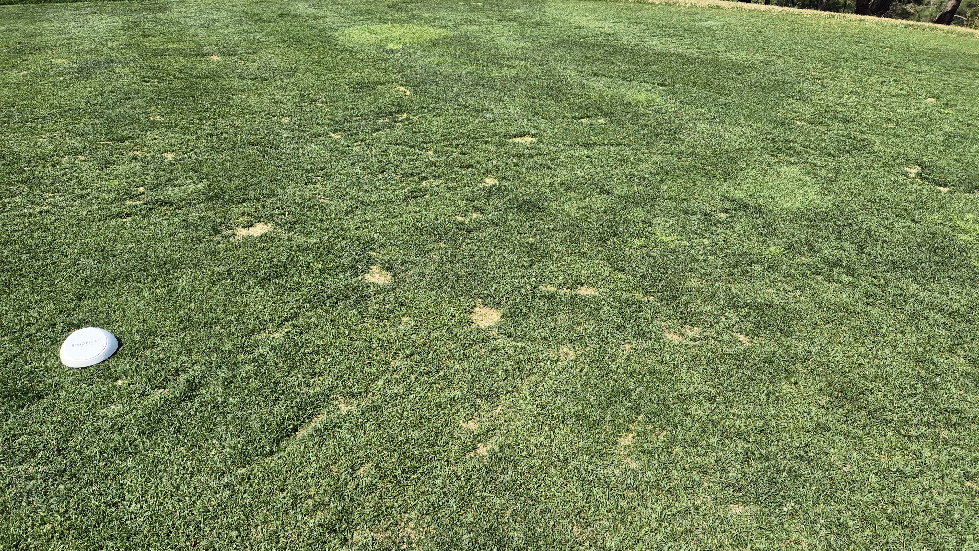 소노펠리체cc 비발디파크 웨스트