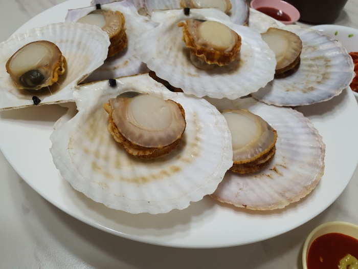 접시에-놓여있는-가리비