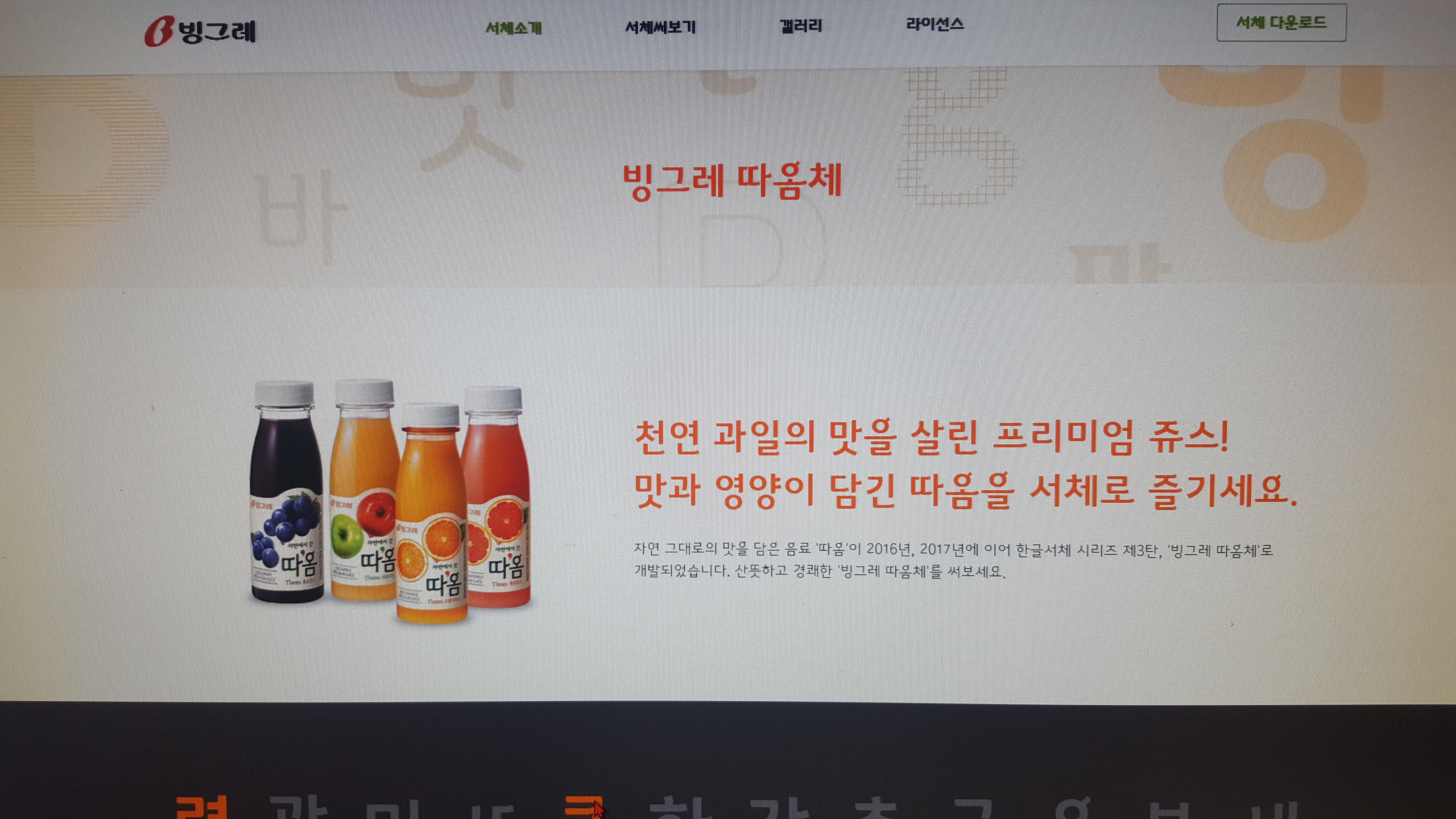홈페이지