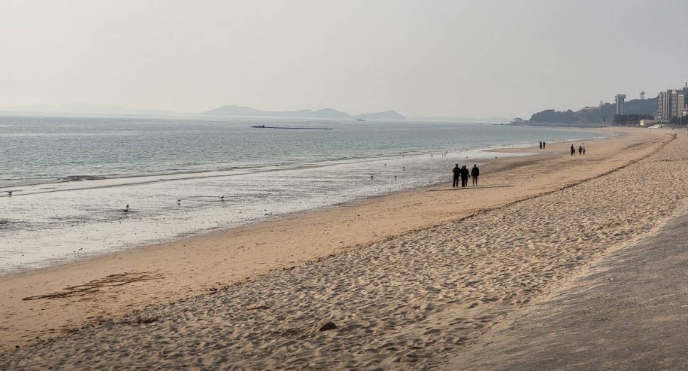 대천 해수욕장(1)