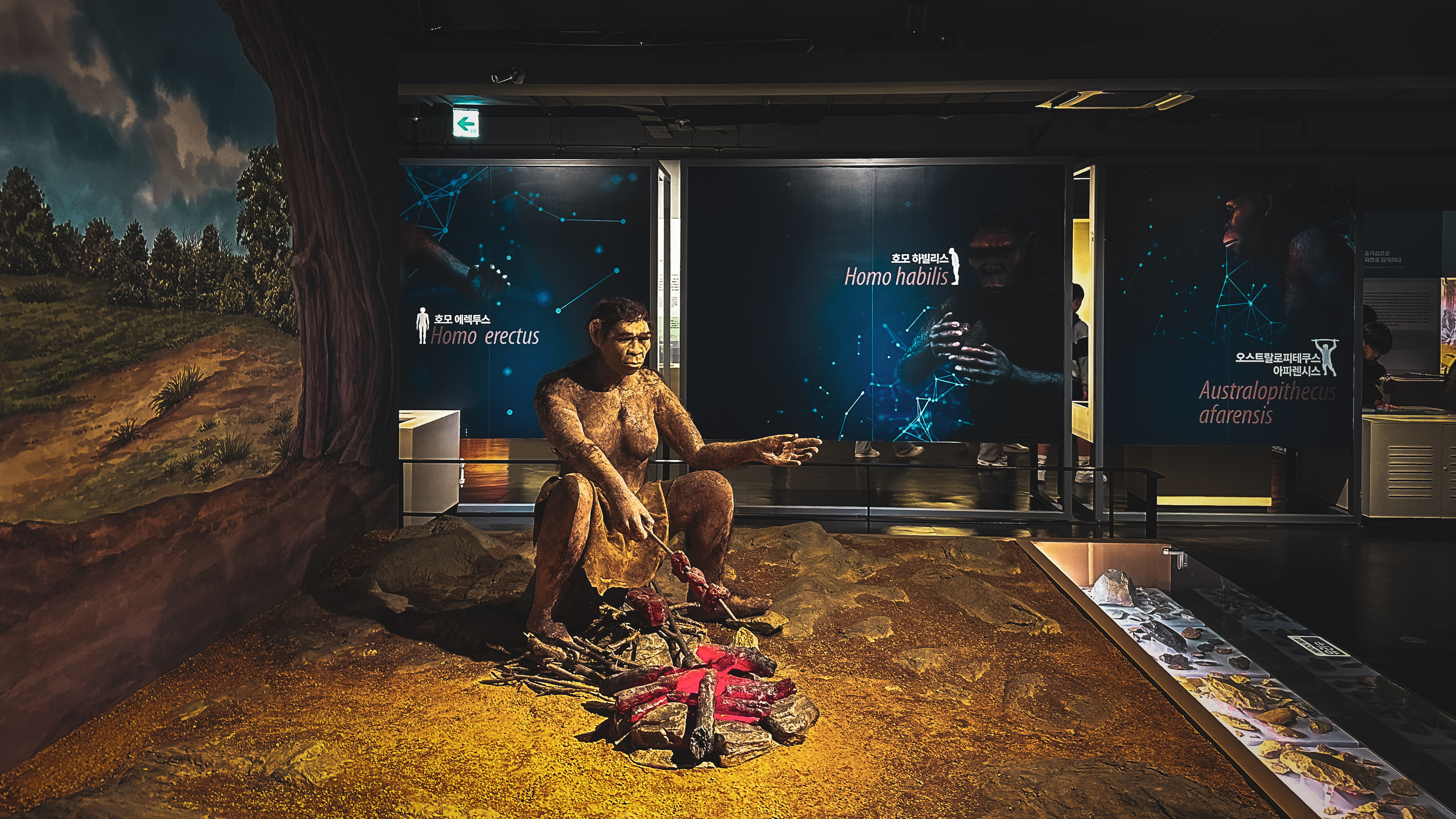 국립 중앙 과학관