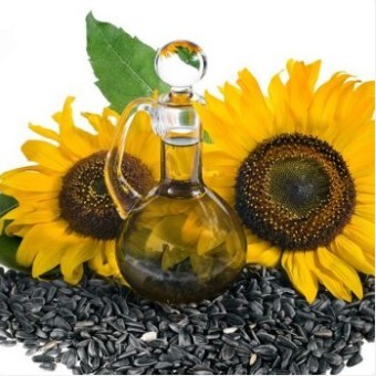 해바라기 씨의 효능