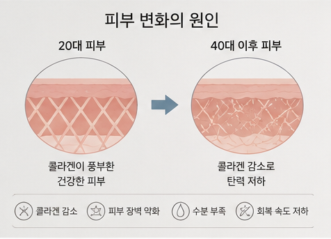 피부 변화의 원인