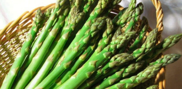 아스파라거스2