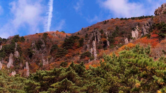 한라산-탐방로