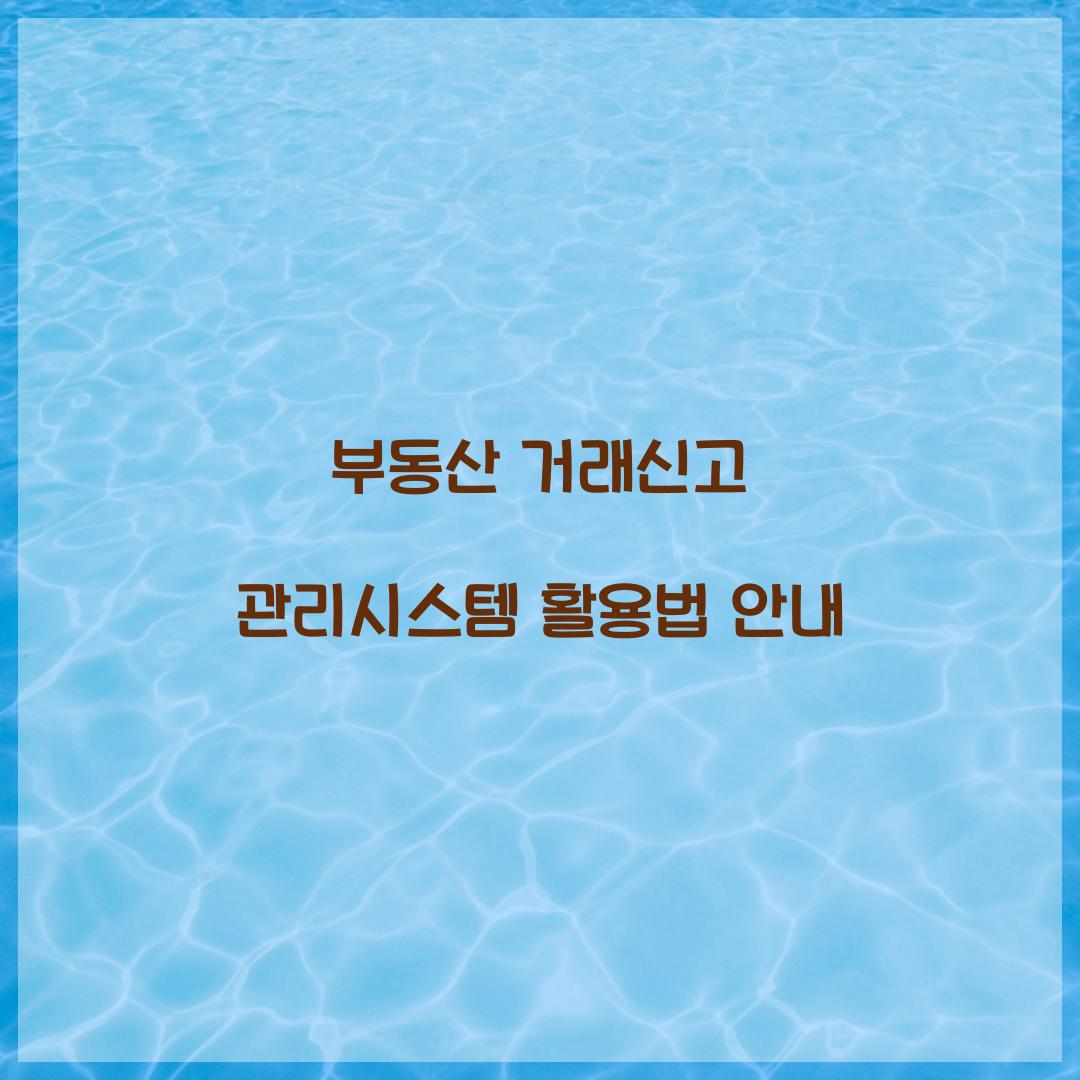 부동산 거래신고 관리시스템