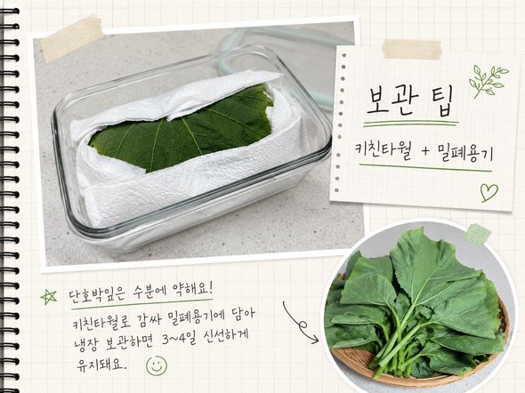 호박잎 찌는법