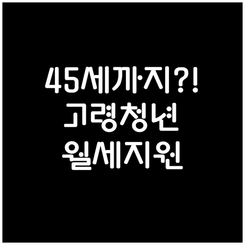 만 45세까지 가능 고령군 청년월세지..