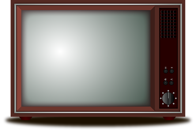 대통령선거 TV토론 일정