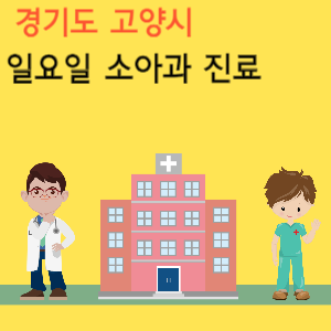 경기도 고양시 일요일 소아과 진료